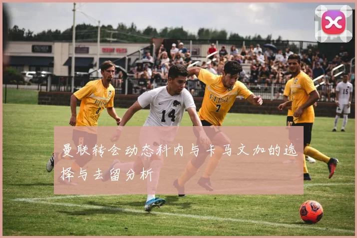 曼联转会动态科内与卡马文加的选择与去留分析